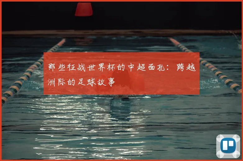 那些征战世界杯的中超面孔：跨越洲际的足球故事