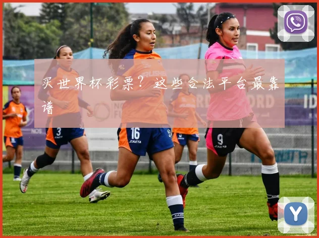 买世界杯彩票？这些合法平台最靠谱