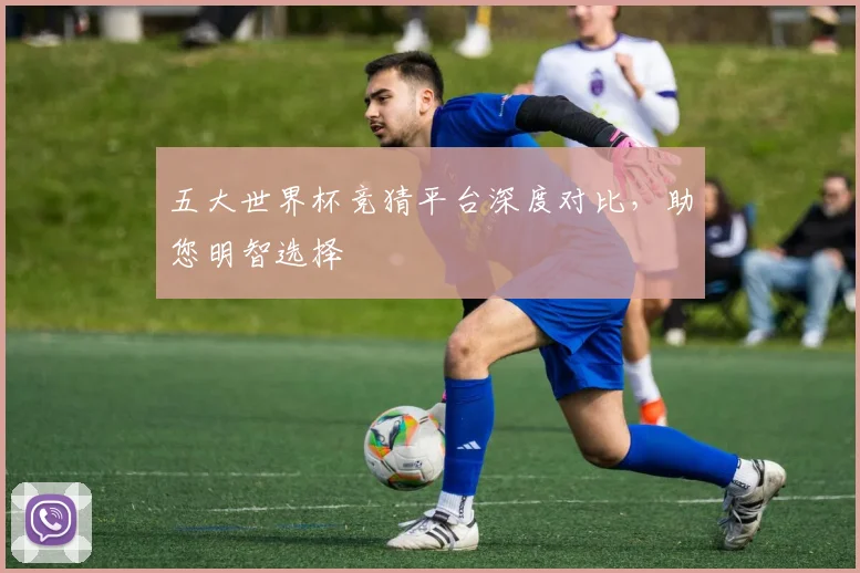 五大世界杯竞猜平台深度对比，助您明智选择