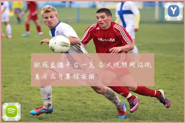 欧冠直播平台一览 各大视频网站观看方式与赛程安排